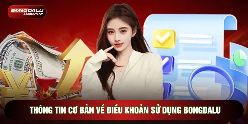 Thông tin cơ bản về Điều khoản sử dụng Bongdalu