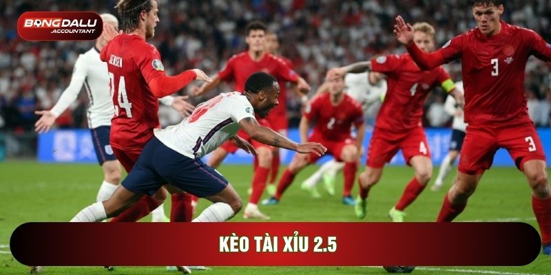 Kèo tài xỉu 2.5