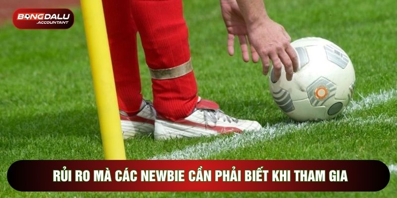 Rủi ro mà các newbie cần phải biết khi tham gia