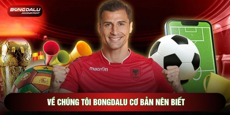 Về chúng tôi Bongdalu cơ bản nên biết